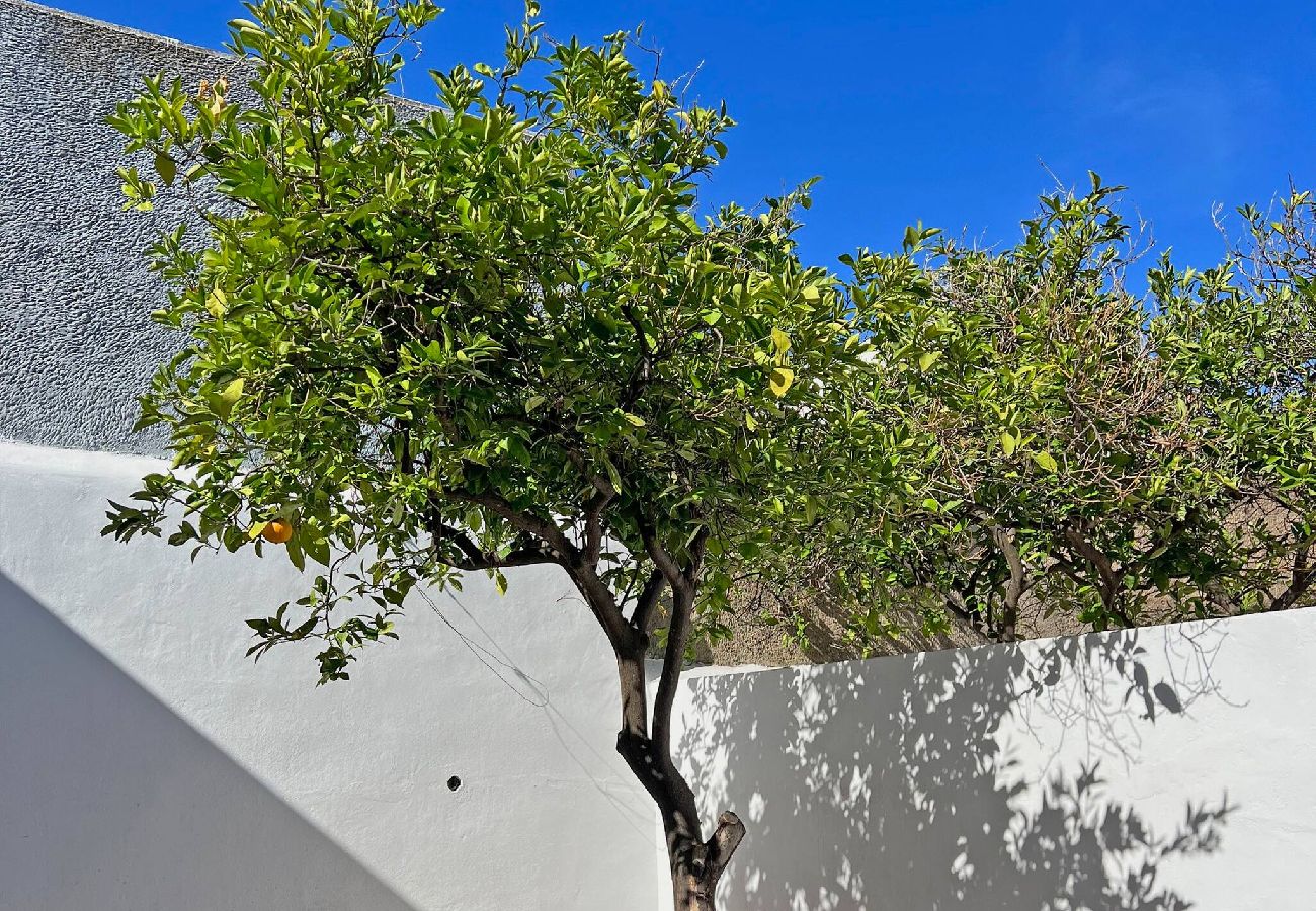 House in Fuseta - Casa Florence - Fuseta