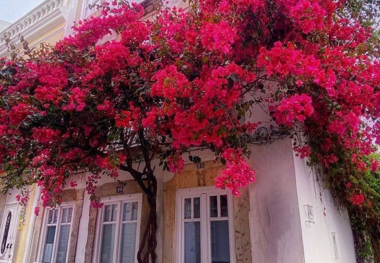 Studio in Tavira - Chic Suite Sequa in Taviras Historical Centre