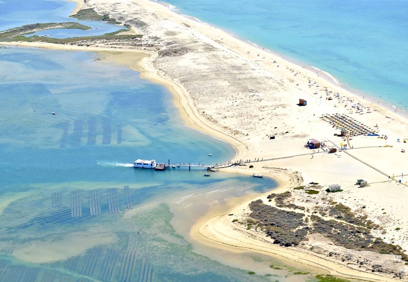 Villa in Moncarapacho - Casa Branca Fuzeta